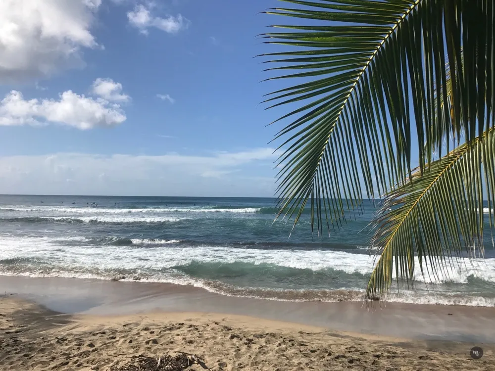 The world can be simple if we dare to make it (a picture of the beach in Martinique)