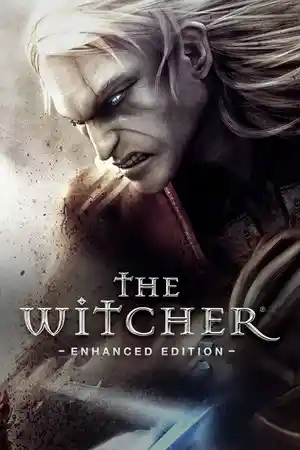 The Witcher 1